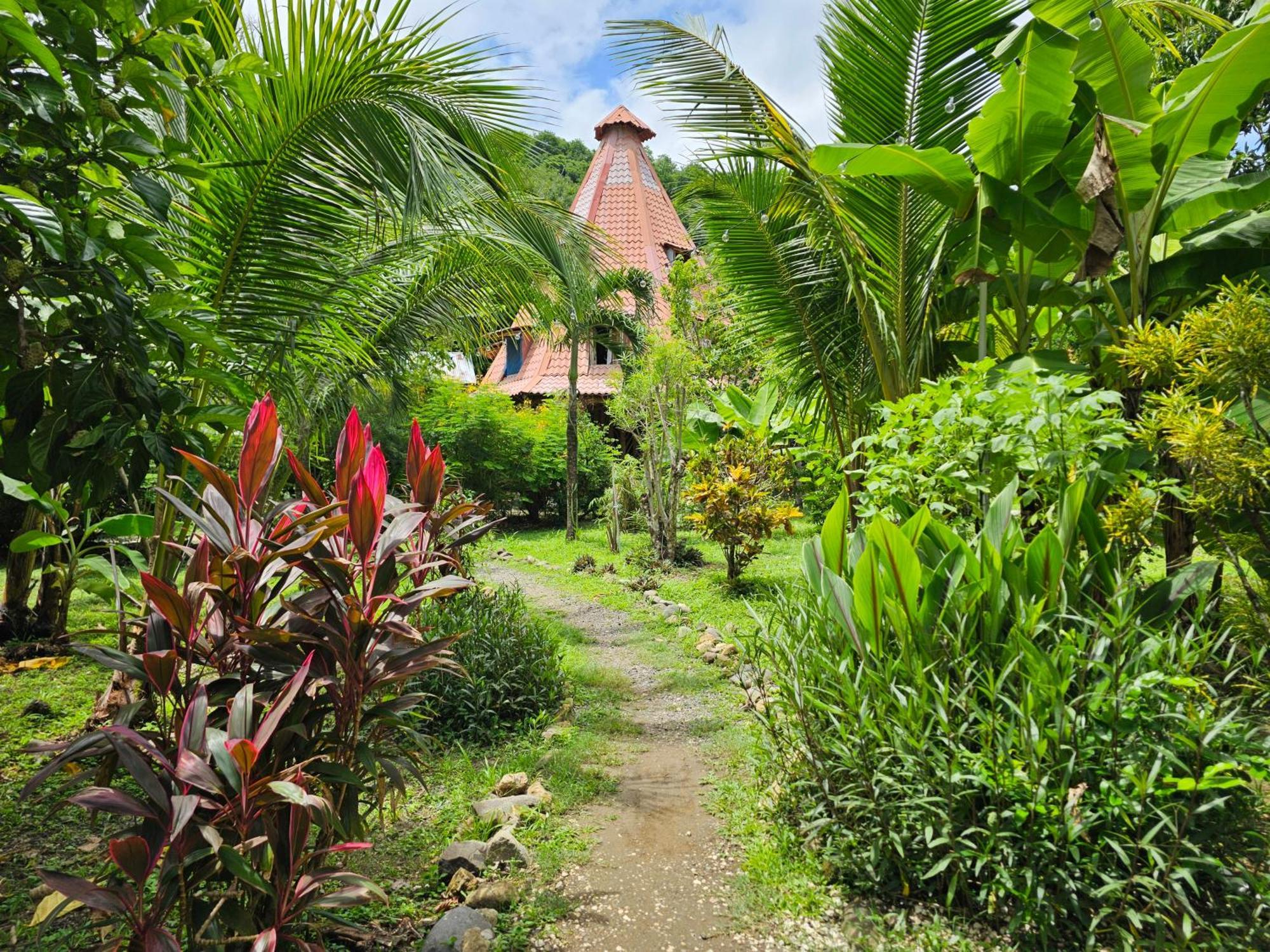 Don Jon'S Surf And Yoga Lodge Playa Santa Teresa  Exterior photo